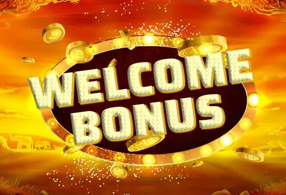 Iwild Willkommensbonus